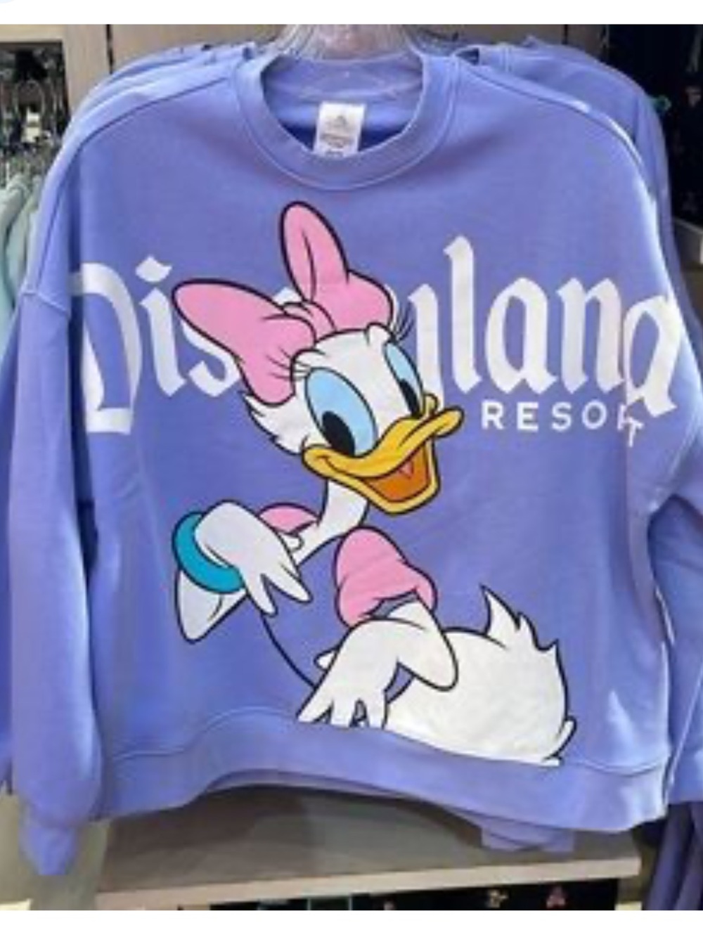 Disneyland Pullover Jersey Daisy Two Sided Garden Purple Sweatshirt Women